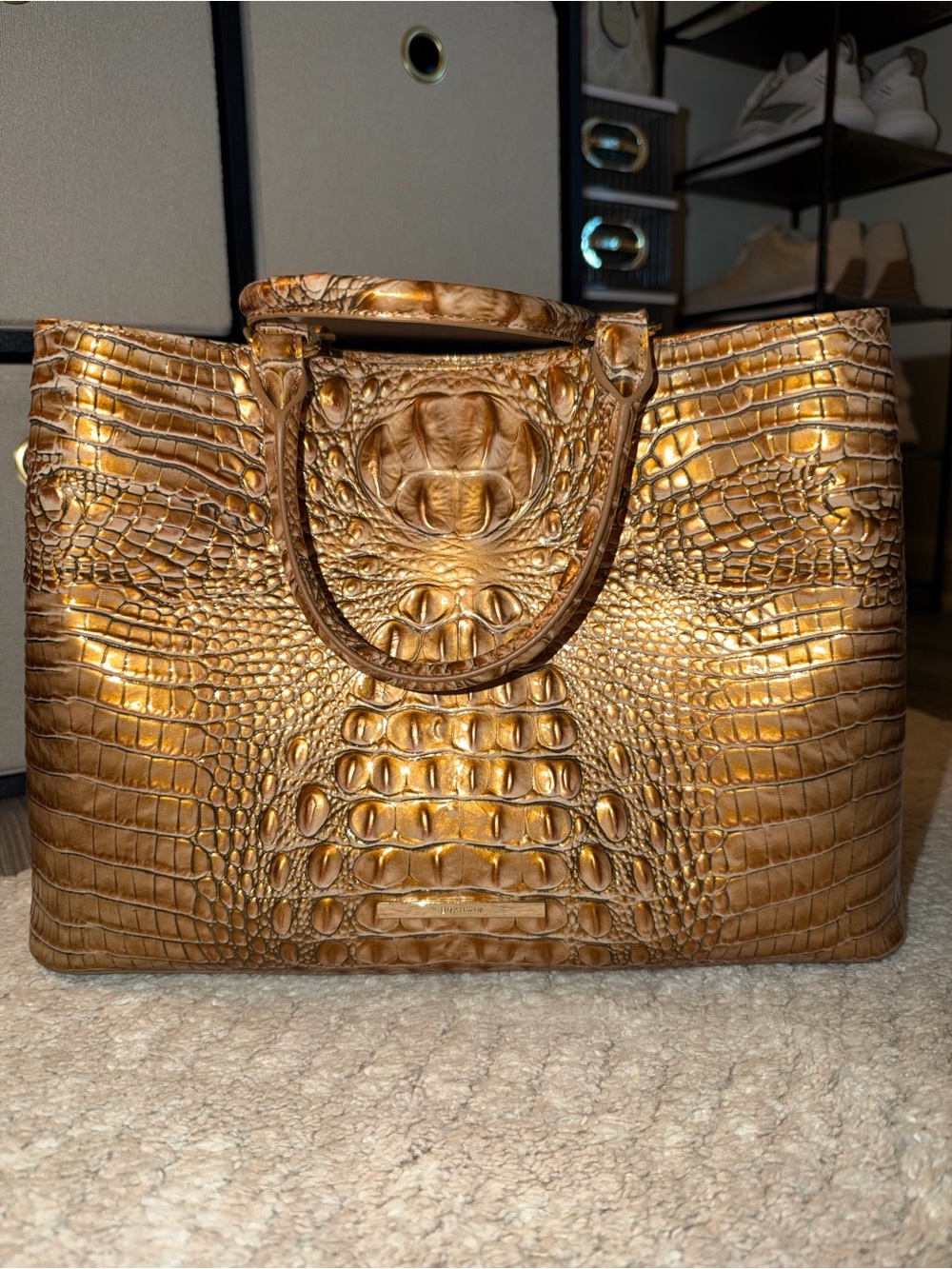 Brahmin Denise Driftwood Melbourne